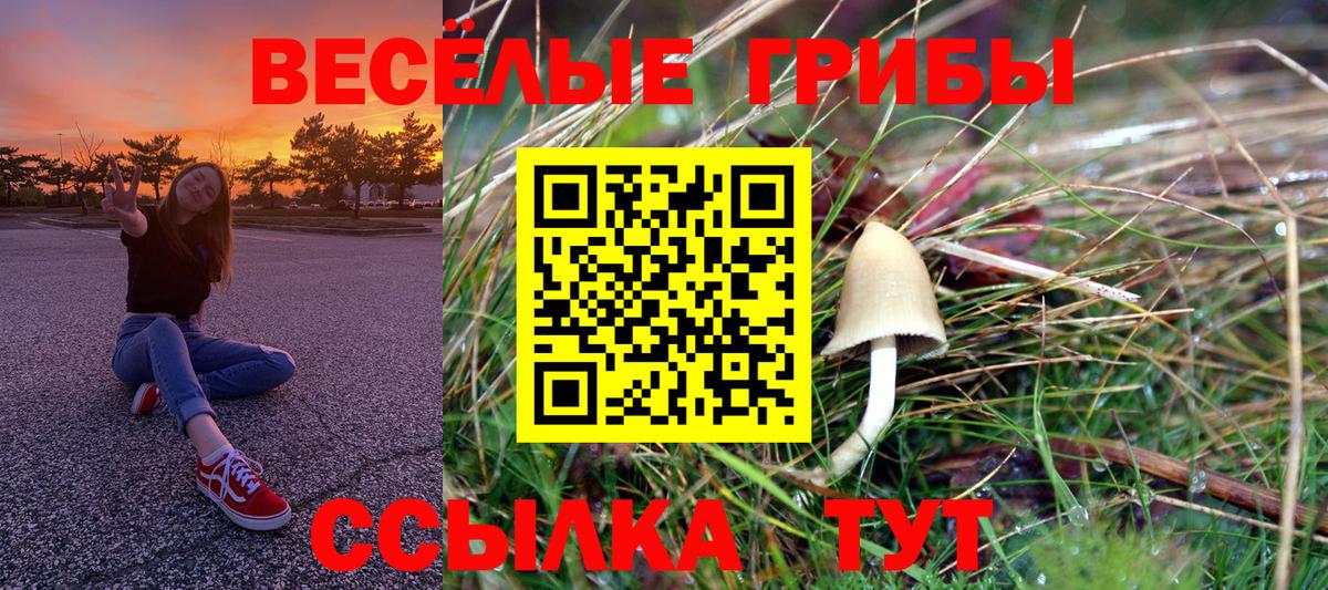 Галлюциногенные грибы Cubensis  Вход с VPN  Норильск 