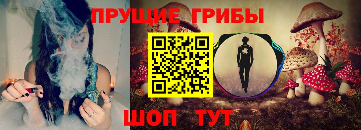 Псилоцибиновые грибы прущие грибы Норильск
